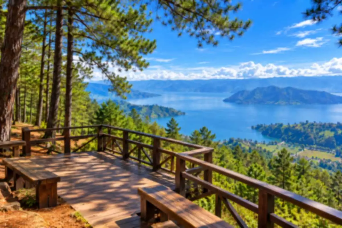 Geosite Sipinsur: Hutan Pinus yang Menawan dengan Panorama Danau Toba dari Ketinggian